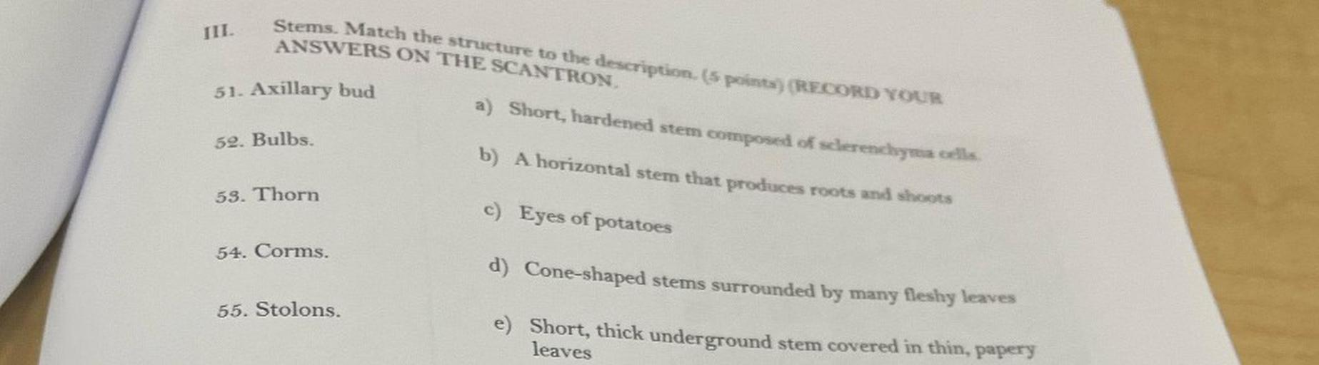 III.
Stems. Match the structure to the description. (5 points) (RECORD YOUR
ANSWERS ON THE SCANTRON.
a) Short, hardened stem composed of screnchyma cells
51. Axillary bud
52. Bulbs.
b) A horizontal stem that produces roots and shoots
53. Thorn
c) Eyes of potatoes
54. Corms.
d) Cone-shaped stems surrounded by many fleshy leaves
55. Stolons.
e) Short, thick underground stem covered in thin, papery
leaves