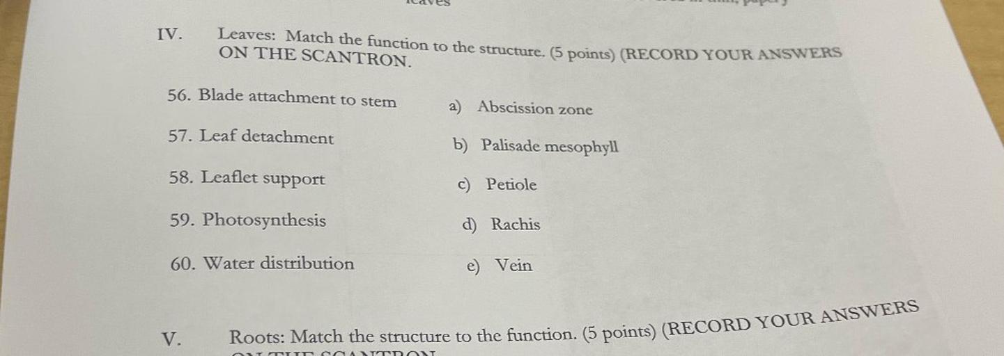 IV.
Leaves: Match the function to the structure. (5 points) (RECORD YOUR ANSWERS
ON THE SCANTRON.
56. Blade attachment to stem
a) Abscission zone
57. Leaf detachment
b) Palisade mesophyll
58. Leaflet support
c) Petiole
59. Photosynthesis
d) Rachis
60. Water distribution
e) Vein
V.
Roots: Match the structure to the function. (5 points) (RECORD YOUR ANSWERS
TI
TTTT