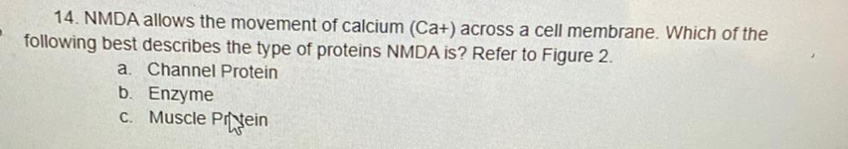 14. NMDA allows the movement of calcium (Ca+) across... Biology