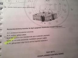 E)
3:1
1:2:1
er er
56. Şekilde hücre zarının yapısı gösterilmiştir.
er
111
Numaralandırılmış kısımlar ile ilgili aşağıdaki ifadelerden hangisi doğrudur?
A) I, prokaryot hücrelerde bulunmaz.
B) II, antikor görevi yapar.
Cest, bir canlının tüm hücrelerinde aynı moleküler yapıdadır.
D) III, su ve suda çözünmüş maddelerin geçişini sağlar.
E) IV, glikoprotein olup hücre zarına özgüllük kazandırır.
TEST BITTI.
CEVAPLARINIZI KONTROL EDİNİZ.
