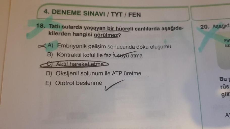 4. DENEME SINAVI / TYT / FEN
18. Tatlı sularda yaşayan bir hücreli canlılarda aşağıda-
kilerden hangisi görülmez?
20. Aşağıda
Pet
ka
A) Embriyonik gelişim sonucunda doku oluşumu
B) Kontraktil koful ile fazla suyu atma
e Aktif hareket etme
D) Oksijenli solu