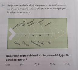 5.
Aşağıda verilen balik kılçığı diyagramının üst tarafına canlıla-
rin ortak özelliklerinden biri alt tarafına ise bu özelliğin çeşit-
lerinden biri yazılmıştır.
Hücresel
solunum
Beslenme
Hücresel
yapi
tipi
Hareket
Üreme
1
II
IV
V
Ototrof
Kemosentez
Eşeysiz
Ökaryot
Aktif
Diyagramın doğru olabilmesi için kaç numaralı kılçığın dü-
zeltilmesi gerekir?
A) I
B) II
C) III
D) IV
E V