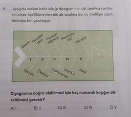 5.
Aşağıda verilen balik kılçığı diyagramının üst tarafına canlıla-
rin ortak özelliklerinden biri alt tarafına ise bu özelliğin çeşit-
lerinden biri yazılmıştır.
Hücresel
solunum
Beslenme
Hücresel
yapi
tipi
Hareket
Üreme
1
II
IV
V
Ototrof
Kemosentez
Eşeysiz
Ökaryot
Aktif
Diyagramın doğru olabilmesi için kaç numaralı kılçığın dü-
zeltilmesi gerekir?
A) I
B) II
C) III
D) IV
E V
