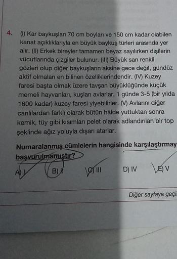 4. (1) Kar baykuşları 70 cm boyları ve 150 cm kadar olabilen
kanat açıklıklarıyla en büyük baykuş türleri arasında yer
alır. (II) Erkek bireyler tamamen beyaz sayılırken dişilerin
vücutlarında çizgiler bulunur. (III) Büyük sarı renkli
gözleri olup diğer ba