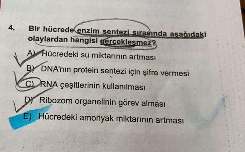 4.
Bir hücrede enzim sentezi sırasında aşağıdaki
olaylardan hangisi
gerceklesmez?
Al Hücredeki su miktarının artması
BY DNA'nın protein sentezi için şifre vermesi
CRNA çeşitlerinin kullanılması
DY Ribozom organelinin görev alması
E) Hücredeki amonyak mikta