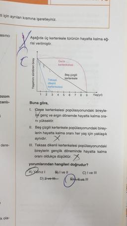ti için ayrılan kısmına işaretleyiniz.
asinci
Aşağıda üç kertenkele türünün hayatta kalma eğ-
risi verilmiştir.
Gece
kertenkelesi
Yasamini sürdüren birey
Beş çizgili
kertenkele
Teksas
dikenli
kertenkelesi
1
2
3
4
5
6
7
8
9
Yaşlyil)
ozom
canli-
Buna göre,
1. Geçe kertenkelesi popülasyonundaki bireyle-
rin genç ve ergin dönemde hayatta kalma ora-
ni yüksektir.
II. Beş çizgili kertenkele popülasyonundaki birey-
lerin hayatta kalma oranı her yaş için yaklaşık
aynıdır. X
III. Teksas dikenli kertenkelesi popülasyonundaki
bireylerin gençlik döneminde hayatta kalma
oranı oldukça düşüktür.
yorumlarından hangileri doğrudur?
dere-
C) I ve III
A) Yalnız B) I ve II
D) Ivet
E) Hve III
k ola-