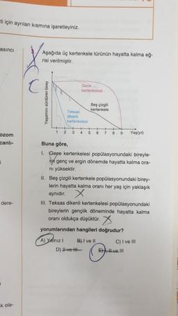 ti için ayrılan kısmına işaretleyiniz.
asinci
Aşağıda üç kertenkele türünün hayatta kalma eğ-
risi verilmiştir.
Gece
kertenkelesi
Yasamini sürdüren birey
Beş çizgili
kertenkele
Teksas
dikenli
kertenkelesi
1
2
3
4
5
6
7
8
9
Yaşlyil)
ozom
canli-
Buna göre,
1. Geçe kertenkelesi popülasyonundaki bireyle-
rin genç ve ergin dönemde hayatta kalma ora-
ni yüksektir.
II. Beş çizgili kertenkele popülasyonundaki birey-
lerin hayatta kalma oranı her yaş için yaklaşık
aynıdır. X
III. Teksas dikenli kertenkelesi popülasyonundaki
bireylerin gençlik döneminde hayatta kalma
oranı oldukça düşüktür.
yorumlarından hangileri doğrudur?
dere-
C) I ve III
A) Yalnız B) I ve II
D) Ivet
E) Hve III
k ola-
