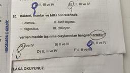 II, III ve IV
E) I, II, III ve IV
20. Bakteri, mantar ve bitki hücrelerinde,
e
I. osmoz,
II. aktif taşıma,
III. fagositoz,
III. difüzyon
HOCALARA GELDİK
verilen madde taşınma olaylarından hangileri ortaktır?
f
I, II ve IV
ADve IV
B) II ve III
D) II, III ve IV
E) I, II ve II)
TLAKA OKUYUNUZ.
c