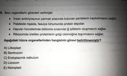 6. Bazı organellerin görevleri verilmiştir.
• İnsan embriyosunun parmak arasında bulunan perdelerin kaybolmasını sağlar.
Patateste nişasta, fasulye tohumunda protein depolar.
• Hayvan hücrelerinde bölünme sırasında iğ ipliklerin oluşmasını sağlar.
Ribozomda üretilen proteinlerin golgi cisimciğine taşınmasını sağlar.
Aşağıdaki hücre organellerinden hangisinin görevi belirtilmemiştir?
A) Lökoplast
B) Sentrozom
C) Endoplazmik retikulum
D) Lizozom
E) Kloroplast
