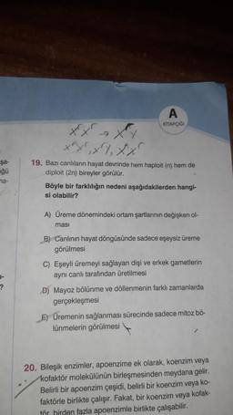 A
KITAPÇIGI
xx'a
xx, XY, Xx
şa-
ğü
na-
19. Bazı canlıların hayat devrinde hem haploit (n) hem de
diploit (2n) bireyler görülür.
Böyle bir farklılığın nedeni aşağıdakilerden hangi-
si olabilir?
A) Üreme dönemindeki ortam şartlarının değişken ol-
ması
B) Canlinin hayat döngüsünde sadece eşeysiz üreme
görülmesi
C) Eşeyli üremeyi sağlayan dişi ve erkek gametlerin
aynı canlı tarafından üretilmesi
J-
?
D) Mayoz bölünme ve döllenmenin farklı zamanlarda
gerçekleşmesi
E) Üremenin sağlanması sürecinde sadece mitoz bö-
lünmelerin görülmesi
20. Bileşik enzimler, apoenzime ek olarak, koenzim veya
kofaktör molekülünün birleşmesinden meydana gelir.
Belirli bir apoenzim çeşidi, belirli bir koenzim veya ko-
faktörle birlikte çalışır. Fakat, bir koenzim veya kofak-
för hirden fazla apoenzimle birlikte çalışabilir.