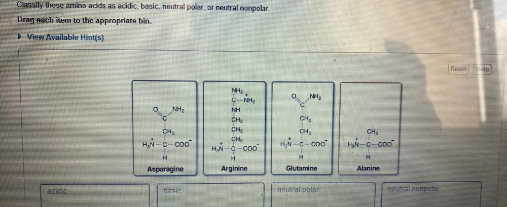 Classify These Amino Acids As Acidic Basic Neutral Biology