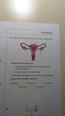Fen Bilimleri
e
19. Aşağıda dişi üreme sistemi ve bazı kısımları gösterilmiştir.
Harflendirilmiş kısımlar için,
1. X'te oogenezle her defasında dört adet yumurta
hücresi oluşturulur.
II. Zigotun oluşumu Y'de gerçekleşir.
. Embriyonun doğuma kadar gelişimi Z'de gerçekleşir.
yargılarından hangileri doğrudur?
are
A) Yalnız!
B) Yalnız II
C) Yalnız III
D) II ve III
E) I, II ve III
20.