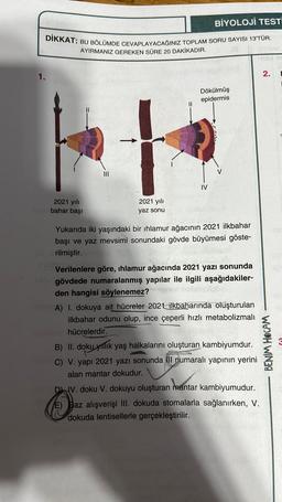 BİYOLOJİ TESTİ
DIKKAT: BU BÖLÜMDE CEVAPLAYACAĞINIZ TOPLAM SORU SAYISI 13'TÜR.
AYIRMANIZ GEREKEN SÜRE 20 DAKİKADIR.
2.
1.
Dökülmüş
epidermis
Il
III
IV
2021 yılı
2021 yili
bahar başı
yaz sonu
Yukarıda iki yaşındaki bir ıhlamur ağacının 2021 ilkbahar
başı ve yaz mevsimi sonundaki gövde büyümesi göste-
rilmiştir.
Verilenlere göre, ihlamur ağacında 2021 yazı sonunda
gövdede numaralanmış yapılar ile ilgili aşağıdakiler-
den hangisi söylenemez?
A) I. dokuya ait hüereler 2021 ilkbaharında oluşturulan
ilkbahar odunu olup, ince çeperli hızlı metabolizmalı
hücrelerdir.
B) II. doku yilik yaş halkalarını oluşturan kambiyumdur.
C) V. yapı 2021 yazı sonunda ill numaralı yapının yerini
alan mantar dokudur.
Di IV. doku V. dokuyu oluşturan mantar kambiyumudur.
E) Baz alışverişi III. dokuda stomalarla sağlanırken, V.
dokuda lentisellerle gerçekleştirilir.
BENIM HOCAM
