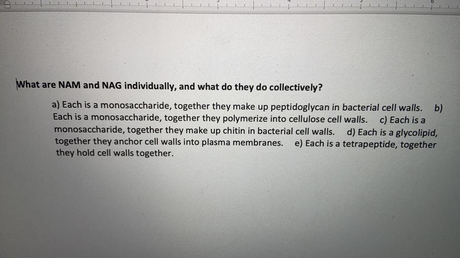 . What are NAM and NAG individually, and what do the... Biology