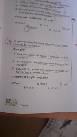 da Interfaz evresinin görülmemesi
II. kardeş kromatitlerin zit kutuplara çekilmesi,
Ill. homolog kromozomların rastgele dağılması,
IV. homolog kromozomların kardeş olmayan kromatitleri
arasında parça değişiminin olması
olaylarından hangilerinin rolu vardır?
eis
A) Yalnız 11
B) I ve IV
u.
Dil ve IV
C) Il ve IN
E) I, II ve IV
Bir eşey ana hücresinin mayoz bölünmesi sırasında profaz !
evresinde 10 tetrat sayılıyor.
Buna göre;
1. Eşey ana hücresinde metafaz Il evresinde 10 kromo-
zom sayılır.
II. Anafaz ll evresinde kromozomlar beşer beşer zit kutup-
lara çekilir.
III. Eşey ana hücresinden mitoz bölünme ile oluşan yeni
hücreler 2n=20 kromozomludur.
ifadelerinden hangileri doğrudur?
A) Yalnız 1
B) Yalnız II
C) I ve III
D) II ve III
E) I, II ve III
5. Su
FASİKÜL TYT Hazırlık
stul
