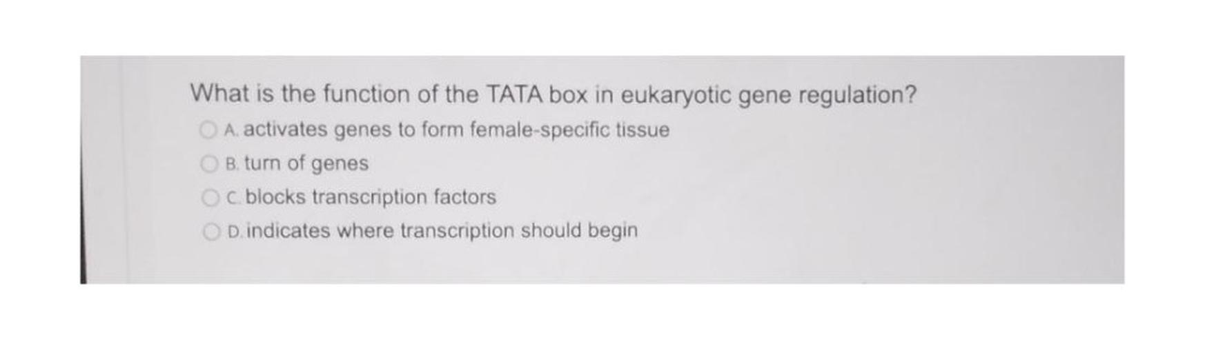 What is the function of the TATA box in eukaryotic g... Biology