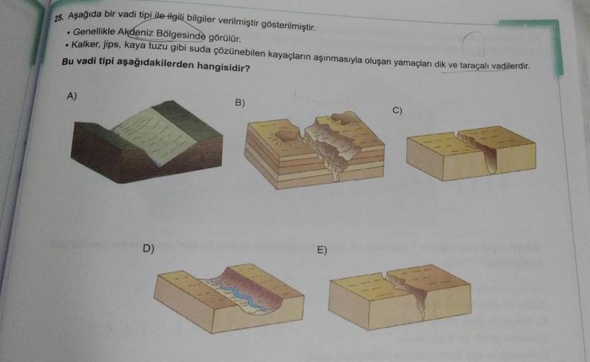 25. Aşağıda bir vadi tipi ile ilgili bilgiler verilmiştir gösterilmiştir.
. Genellikle Akdeniz Bölgesinde görülür.
• Kalker, jips, kaya tuzu gibi suda çözünebilen kayaçların aşınmasıyla oluşan yamaçları dik ve taraçalı vadilerdir.
Bu vadi tipi aşağıdakiler