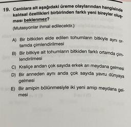 19. Canlılara ait aşağıdaki üreme olaylarından hangisinde
kalıtsal özellikleri birbirinden farklı yeni bireyler oluş-
ması beklenmez?
(Mutasyonlar ihmal edilecektir.)
A) Bir bitkiden elde edilen tohumların bitkiyle ayni or-
tamda çimlendirilmesi
B) Bir bitkiye ait tohumların bitkiden farklı ortamda çim-
lendirilmesi
C) Kraliçe arıdan çok sayıda erkek arı meydana gelmesi
D) Bir anneden aynı anda çok sayıda yavru dünyaya
gelmesi
E) Bir amipin bölünmesiyle iki yeni amip meydana gel-
mesi