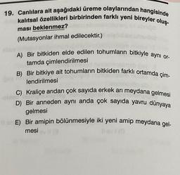 19. Canlılara ait aşağıdaki üreme olaylarından hangisinde
kalıtsal özellikleri birbirinden farklı yeni bireyler oluş-
ması beklenmez?
(Mutasyonlar ihmal edilecektir.)
A) Bir bitkiden elde edilen tohumların bitkiyle ayni or-
tamda çimlendirilmesi
B) Bir bitkiye ait tohumların bitkiden farklı ortamda çim-
lendirilmesi
C) Kraliçe arıdan çok sayıda erkek arı meydana gelmesi
D) Bir anneden aynı anda çok sayıda yavru dünyaya
gelmesi
E) Bir amipin bölünmesiyle iki yeni amip meydana gel-
mesi
