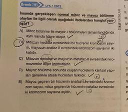 Örnek (19
LYS / 2012
1.
II.
İnsanda gerçekleşen normal mitoz ve mayoz bölünme
olayları ile ilgili olarak aşağıdaki ifadelerden hangisi yan-
liştır?
SINAV YAYINLARI
IV
ge
ä
A) Mitoz bölünme ile mayoz-l bölünmeleri tamamlandığında
aynı sayıda hücre oluşur.
B) Mitozun metafaz evresindeki bir hücrenin kromozom sayi-
si, mayozun anafaz-ll evresindeki kromozom sayısının iki
katıdır.
C) Mitozun metafaz ve mayozun metafaz-ll evresindeki kro-
mozomlar ikişer kromatitlidir.
D) Mayoz bölünme sonunda oluşan hücrelerin kalıtsal yapı-
ları genellikle atasal hücreden farklıdır.
E) Mayoz geçiren bir hücrenin anafaz-Levresindeki kromo-
zom sayısı, mitoz geçiren bir hücrenin metafaz evresinde-
ki kromozom sayısına eşittir.
1.
II.
II
Y
n
v
rt
A