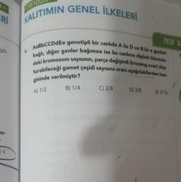 JIK
BIYO
Ri
KALITIMIN GENEL İLKELERİ
TEST 5
90
AaBbCCDdEe genotipli bir canlıda Aile D ve Bile e genleri
bağlı, diğer genler bağımsız ise bu canlının diploit hücresin
deki kromozom sayısının, parça değişimli (krossing over) oluy
turabileceği gamet çeşidi sayısına oranı aşağıdakilerden han
gisinde verilmiştir?
B) 1/4
C) 2/8
A) 1/2
D) 3/8
E) 3/16
10-
V
