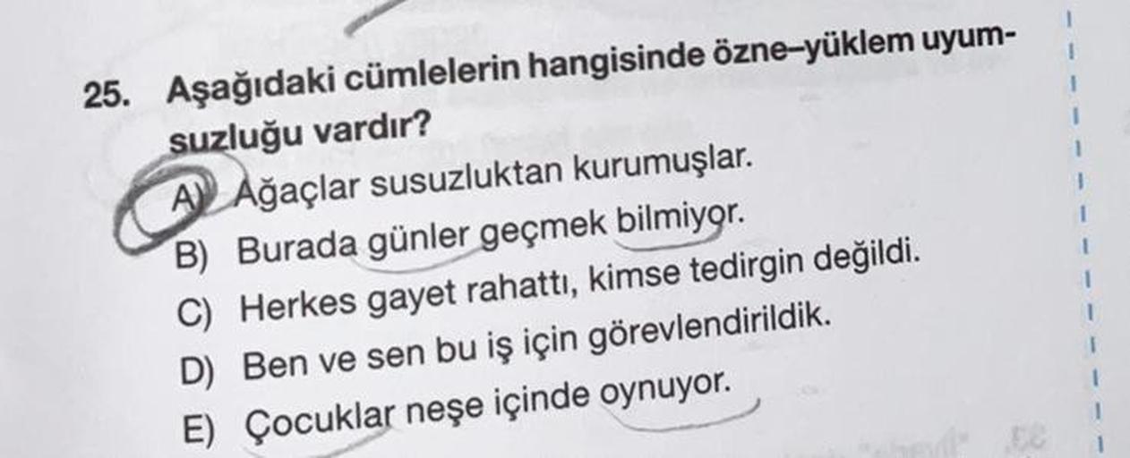 25. Aşağıdaki cümlelerin hangisinde özne-yüklem uyum-
suzluğu vardır?
A) Ağaçlar susuzluktan kurumuşlar.
B) Burada günler geçmek bilmiyor.
C) Herkes gayet rahattı, kimse tedirgin değildi.
D) Ben ve sen bu iş için görevlendirildik.
E) Çocuklar neşe içinde o