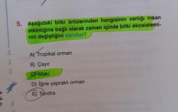 5. Aşağıdaki bitki örtülerinden hangisinin varlığı insan
etkinliğine bağlı olarak zaman içinde bitki ekosistemi-
nin değiştiğini kanıtlar?
A) Tropikal orman
by bry bry
B) Çayır
Maki
D) iğne yapraklı orman
E) Tundra
1-
by
