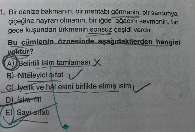 1. Bir denize bakmanın, bir mehtabi görmenin, bir sardunya
çiçeğine hayran olmanın, bir iğde ağacını sevmenin, bir
gece kuşundan ürkmenin
sonsuz çeşidi vardır.
Bu cümlenin öznesinde aşağıdakilerden hangisi
voktur?
A)
Belirtili isim tamlaması
B) Niteleyici