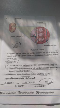 2.
Plasenta
Plasenta
an
Göbek kordonu
34
Anne kan damarı
Fetüs kan damarı
Yukarıdaki şekilde gebe bir dişide plesanta ile fetüs arasında
madde değiş tokuşunu sağlayan plesantayla bağlantılı yapılar
gösterilmiştir.
Buna göre;
f
Göbek kordonu toplardamarındaki kan oksijence zengindir.
II. Plasenta boşluğuna anneye ait atardamarlardan besin, anti-
kor gibi maddeler bırakılır.
1. Plasenta toplardamarında fetüse ait atıklar taşınır.
ifadelerinden hangileri doğrudur?
A) Yalnız Il
B) Yalnız III
C) ve
Dit ve III
EL. I ve III
f/uzmanyayinlari1 /uzmanyayinlari
D/uzmanyayinlarity
