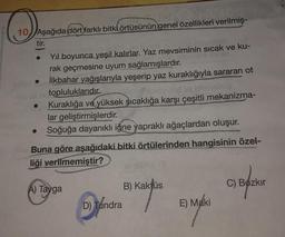 ©
10) Aşağıda dört farklı bitki örtüsünün genel özellikleri verilmiş-
tir.
Yil boyunca yeşil kalırlar. Yaz mevsiminin sicak ve ku-
rak geçmesine uyum sağlamışlardır.
İlkbahar yağışlarıyla yeşerip yaz kuraklığıyla
sararan ot
topluluklarıdır.
Kuraklığa ve yüksek sıcaklığa karşı çeşitli mekanizma-
lar geliştirmişlerdir.
Soğuğa dayanıklı iğne yapraklı ağaçlardan oluşur.
Buna göre aşağıdaki bitki örtülerinden hangisinin özel-
liği verilmemiştir?
C) Bozkır
A) Tayga
B) Kaktüs
D) Tundra
E) Maki
