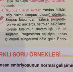 atılır. Bu olaya ovulasyon yumurtlama)
denir.
4. Korpus luteum evresi: Yırtılan folikül,
sary cisime (korpus luteum) dönüşür.
Korpus luteumdan fazlaca progeste-
ron ve az miktarda östrojen salgılanır.
Korpus luteumun devamlılığı LH ile
sağlanır. Progesteron etkisiyle uterus
iç çeperi süngerimsi hâle gelir. Endo-
RKLI SORU ÖRNEKLERİ
nsan embriyosunun normal gelişimin