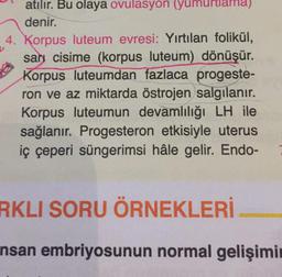 atılır. Bu olaya ovulasyon yumurtlama)
denir.
4. Korpus luteum evresi: Yırtılan folikül,
sary cisime (korpus luteum) dönüşür.
Korpus luteumdan fazlaca progeste-
ron ve az miktarda östrojen salgılanır.
Korpus luteumun devamlılığı LH ile
sağlanır. Progesteron etkisiyle uterus
iç çeperi süngerimsi hâle gelir. Endo-
RKLI SORU ÖRNEKLERİ
nsan embriyosunun normal gelişimin
