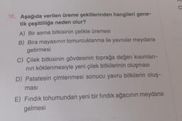 C
16. Aşağıda verilen üreme şekillerinden hangileri gene-
tik çeşitliliğe neden olur?
A) Вir asma bitkisinin çelikle üremesi
B) Bira mayasının tomurcuklanma ile yavrular meydana
getirmesi
C) Çilek bitkisinin gövdesinin toprağa değen kısımları-
nin köklenmesiyle yeni çilek bitkilerinin oluşması
D) Patatesin çimlenmesi sonucu yavru bitkilerin oluş-
ması
E) Fındık tohumundan yeni bir fındık ağacının meydana
gelmesi
