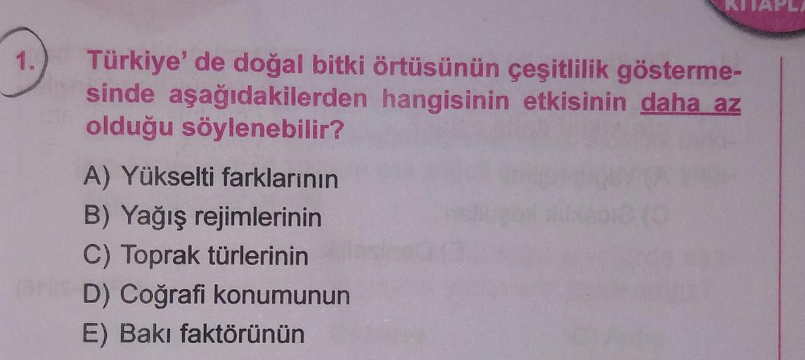 NI
1.
Türkiye'de doğal bitki örtüsünün çeşitlilik gösterme-
sinde aşağıdakilerden hangisinin etkisinin daha az
olduğu söylenebilir?
A) Yükselti farklarının
B) Yağış rejimlerinin
C) Toprak türlerinin
D) Coğrafi konumunun
E) Bakı faktörünün