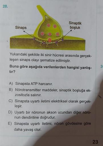 28.
Sinaptik
boşluk
Sinaps
Yukarıdaki şekilde iki sinir hücresi arasında gerçek-
leşen sinaps olayı şematize edilmiştir.
Buna göre aşağıda verilenlerden hangisi yanlış-
tir?
3
A) Sinapsta ATP harcanır.
B) Nörotransmitter maddeler, sinaptik boşluğa ek-
zosi