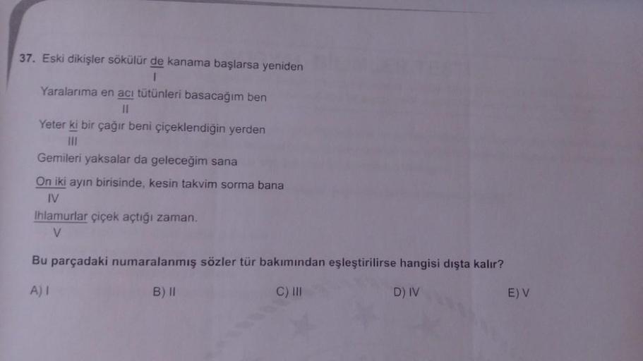 37. Eski dikişler sökülür de kanama başlarsa yeniden
1
Yaralarıma en acı tütünleri basacağım ben
II
Yeter ki bir çağır beni çiçeklendiğin yerden
III
Gemileri yaksalar da geleceğim sana
On iki ayın birisinde, kesin takvim sorma bana
IV
Ihlamurlar çiçek açtı