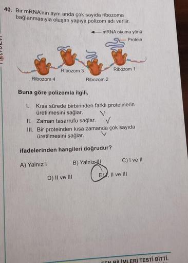 40. Bir mRNA'nın aynı anda çok sayıda ribozoma
bağlanmasıyla oluşan yapıya polizom adı verilir.
mRNA okuma yönü
Protein
Ribozom 3
Ribozom 1
Ribozom 4
Ribozom 2
Buna göre polizomla ilgili,
1. Kısa sürede birbirinden farklı proteinlerin
üretilmesini sağlar.