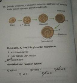 36. Sokide embriyonun olugumu sırasında gastrulasyon evrening
kadar geçen aşamalar sematize edilmiştir.
Blastoso
Zigot
X Morula
Blastosist
→ Z
Blastopor
Gastrulasyon
Buna göre, X, Y ve Z ile gösterilen hücrelerde;
L kromozom sayısı,
II. çekirdekteki DNA miktarı,
W. hücre hacmi
niceliklerinden hangileri aynıdır?
A) Yalnız!
B) Yalnız II
Yalnız III
D) I ve II
El ve III