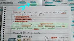 inde etkilidir
luk, halsizliğe set
Inorganik Asit
HCI (mide asidi)
ettiği yerde, su molekülleri hem
jer su molekülleriyle hidrojen bağı
yapisina katilirken aynı zamanda (bazı bi-
leşik enzimlerin kofaktörü olup, düzenleyici olarak da görev alır.
Yapıcı - onarıcıdırlar. 70 kg ağırlığındaki insanın ortalama 3
Organik Asit
CH,COOH
+ Amino asitler
kilosu mineraldir.
Fazlalığınd
ayakta kannca!
i denir.
Düzenleyicidirler. (Kofaktön
ÕJCI
dyum
ay
k klir
fücre die
gesini (p
irti iletim
2
temel
Eksikl
atomuna
Fazia
ve
Kio
Aminoasitler Proteinlerin
yapı
birimleridir. Yapısında karbon
bağlı ůs
frup
bulunur. Bunlar;
amino
grup
(NH)
karboksil
grup
(coo)
radikal grupłuc. (.
Ortamda birikmesi asitliği arttirip PH'in düşmesine
neden
olur. Yapisn-
da bulunan amino
grup nedeniyle bazik,
baaik karboksil grup nedeniyle asit
ozellik
gosterici
terirler. Bu nedenle amfoter Ôzellikte maddelerdic
D.S
n Caminoasit)
Protein + (0-1) H₂O
Hü
üretim
dişi si
de
n
IR Radikal grup
H-
HINHCHC-OH
Dogade 2 Gesit aminoasit vardır.
2)
S
Aminoasitlerin
birbirinden farklı olm