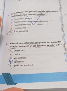 Insanda embriyonik gelişim sırasında, aşağıdaki du-
rumlardan hangisi meydana gelmez?
A) Plasentanın oluşumu
B) Segmentasyon olayının gerçekleşmesi
c) Blastomerlerin meydana gelmesi ---
D) Organogenez +
E) Spermatogenez
HOCAM EĞİTİM DÜNYASI BENİM HOCAM EĞITIM DÜNYASI BENİM HOCAM EGİTİM DUNYASI BE
4.
Erkek üreme sisteminde aşağıda verilen yapılardan
hangisi, spermlerin en son gelip depolandığı yerdir?
A) Prostat bezi
B) Üretra
C) Vas deferens
BY Epididimis
E) Seminifer tüpçükleri
