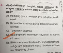 M
A
6.
Aşağıdakilerden hangisi, mitoz bölünme ile
mayoz I bölünmesinin ortak özelliklerinden bi-
ridir?
A) Homolog kromozomların ayrı kutuplara çekil-
mesi
B) Kromatitler arasında parça değişiminin gerçek-
leşmesi
C) Tetratların oluşması
D) Başlangıçtaki kromozom sayısının iki katına
çıkması
E) Bölünme tamamlandığında, kromozomların ta-
şıdığı tüm özelliklerin yavru hücrelere eşit ola-
rak aktarılmış olması
AA
Öss)
