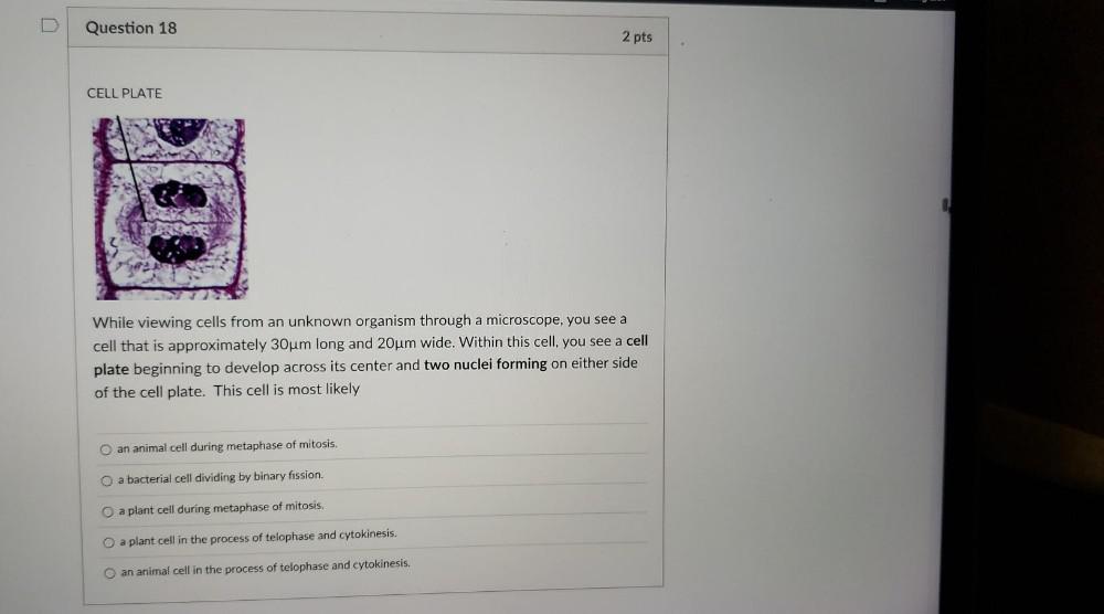 早割クーポン！ 授業料免除】東京大学生物科学専攻に合格した私が用いたThe 語学・辞書・学習参考書