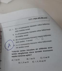TYT / FEN BİLİMLERİ
niş
A
20. I. 2n = 4 kromozomlu hücrenin mitoz bölünme-
sinin metafaz evresi
II. n = 8 kromozomlu hücrenin mitoz bölünmesi-
nin anafaz evresi
III. 2n = 4 kromozomlu hücrenin mayoz bölünme-
no 2
sinin anafaz - ll evresi
N. n = 4 kromozomlu hücrenin mitoz bölünmesi-
nin anafaz evresi
Yukarıda verilen hücrelere ait bölünme evre-
lerinin hangilerinde hücre içindeki kromozom
sayılan birbirine eşittir?
A) I ve II B) I ve IV C) Il ve III
D) I, Il ve IV E) 1, 11, Il ve IV
Su
n