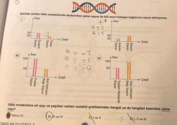 DUX
DT
Şekilde verilen DNA molekülünde deoksiriboz şeker sayısı ile ikili zayıf hidrojen bağlarının sayısı biliniyorsa;
1
Sayi
II
Sayi
6=c
3X
A-T
2X
3x
2x
Çeşit
Çeşit
Sayısı
Adenin
Sayısı
Sitozin
D
Sayı
10X
IV
Sayi
C
10X
Il mir
C
4X
5X
Çeşit
Çeşit
Sayisi
F
