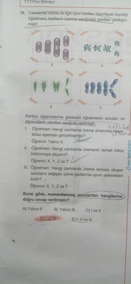 TYT/Fen Bilimleri
19. Canlılarda ureme ile ilgili oyun kartları hazırlayan biyoloji
öğretmeni, kartların üzerine aşağıdaki şekilleri yerleştir-
miştir.
X
Y
8888
Z
T
Kartları öğrencilerine gösteren öğretmenin soruları ve
öğrencilerin yanıtları aşağıda verilmiştir.
nekirdel
I. Öğretmen: Hangi canlılarda üreme sırasında karyo-
18 Cunnd
kinez aşaması gerçekleşmez?
Öğrenci: Yalnız X
II. Öğretmen: Hangi canlılarda üremenin temeli mitozu
bölünmeye dayanır?
Öğrenci: X, Y, Z ve T
L
III. Öğretmen: Hangi canlılarda üreme sonucu oluşan
canlıların değişen çevre şartlarına uyum yetenekleri
azdır?
Öğrenci: X, Y, Z ve T
Buna göre, numaralanmış sorulardan hangilerine
doğru cevap verilmiştir?
.
FhAVIGASYON
A) Yalnız II
B) Yalnız III
C) I ve II
D) I ve III
E) I, II ve III
