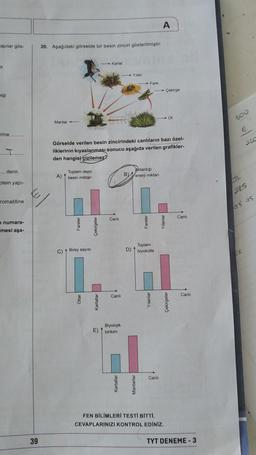 A
apılar gös-
20. Aşağıdaki görselde bir besin zinciri gösterilmiştir.
- Kartal
-
it
Yilan
Fare
- Çekirge
il
O
600
Mantar +
E
irine ........
22
Görselde verilen besin zincirindeki canlıların bazı özel-
liklerinin kıyaslanması sonucu aşağıda verilen grafikler-
den hangisi çizilemez?
.. denir.
Toplam depo
A) | besin miktar
Aktardig
BY
enerji miktan
otein yapi-
E
025
romatitine
75
Canli
Canli
numara-
mesi aşa-
Toplam
C) + Birey sayisi
D) biyokutte
Canli
Canli
Biyolojik
E) birikim
Canli
FEN BİLİMLERİ TESTİ BITTI.
CEVAPLARINIZI KONTROL EDİNİZ.
39
TYT DENEME-3
