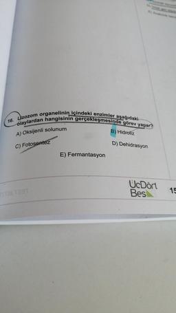 16. Lizozom organelinin içindeki enzimler aşağıdaki
olaylardan hangisinin gerçekleşmesinde görev yapar?
A) Oksijenli solunum
B) Hidroliz
D) Dehidrasyon
C) Fotosentez
E) Fermantasyon
UcDört
Bes
15
ITTI8 Team