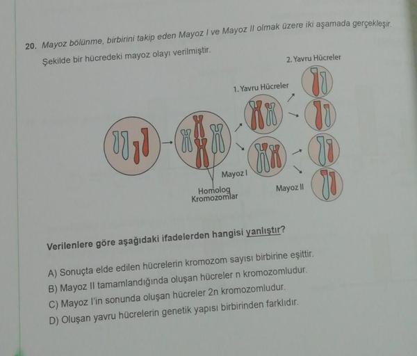 20. Mayoz bölünme, birbirini takip eden Mayoz I ve Mayoz Il olmak üzere iki aşamada gerçekleşir.
Şekilde bir hücredeki mayoz olayı verilmiştir.
2. Yavru Hücreler
90
1. Yavru Hücreler
003
BE
BE
HIR
Mayozi
Homolog
Kromozomlar
Mayoz II
Verilenlere göre aşağıd