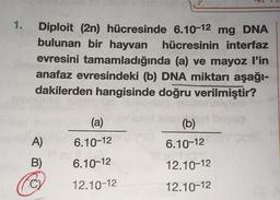 1.
Diploit (2n) hücresinde 6.10-12 mg DNA
bulunan bir hayvan hücresinin interfaz
evresini tamamladığında (a) ve mayoz l'in
anafaz evresindeki (b) DNA miktarı aşağı-
dakilerden hangisinde doğru verilmiştir?
(a)
(b)
6.10-12
A)
6.10-12
B)
6.10-12
12.10-12
12.10-12
12.10-12
