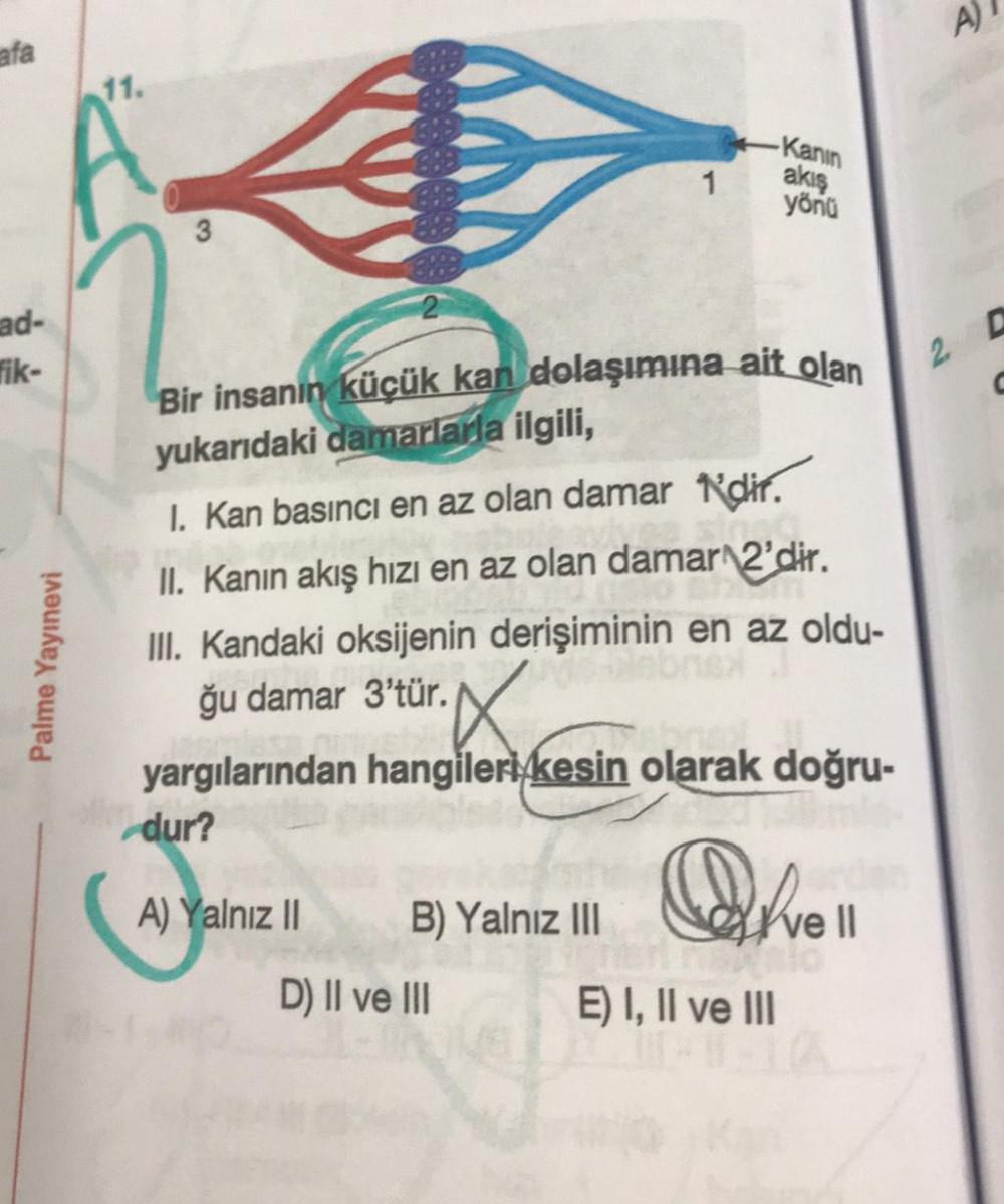 A Afa 11 Kanin Akis 1 Yonu Ad Fik 2 Bir Insani Biyoloji